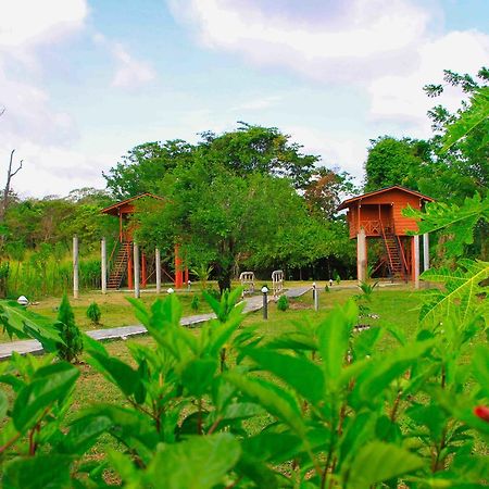 Sigiri Royal Point Tree House Hotel Sigiriya Exterior photo