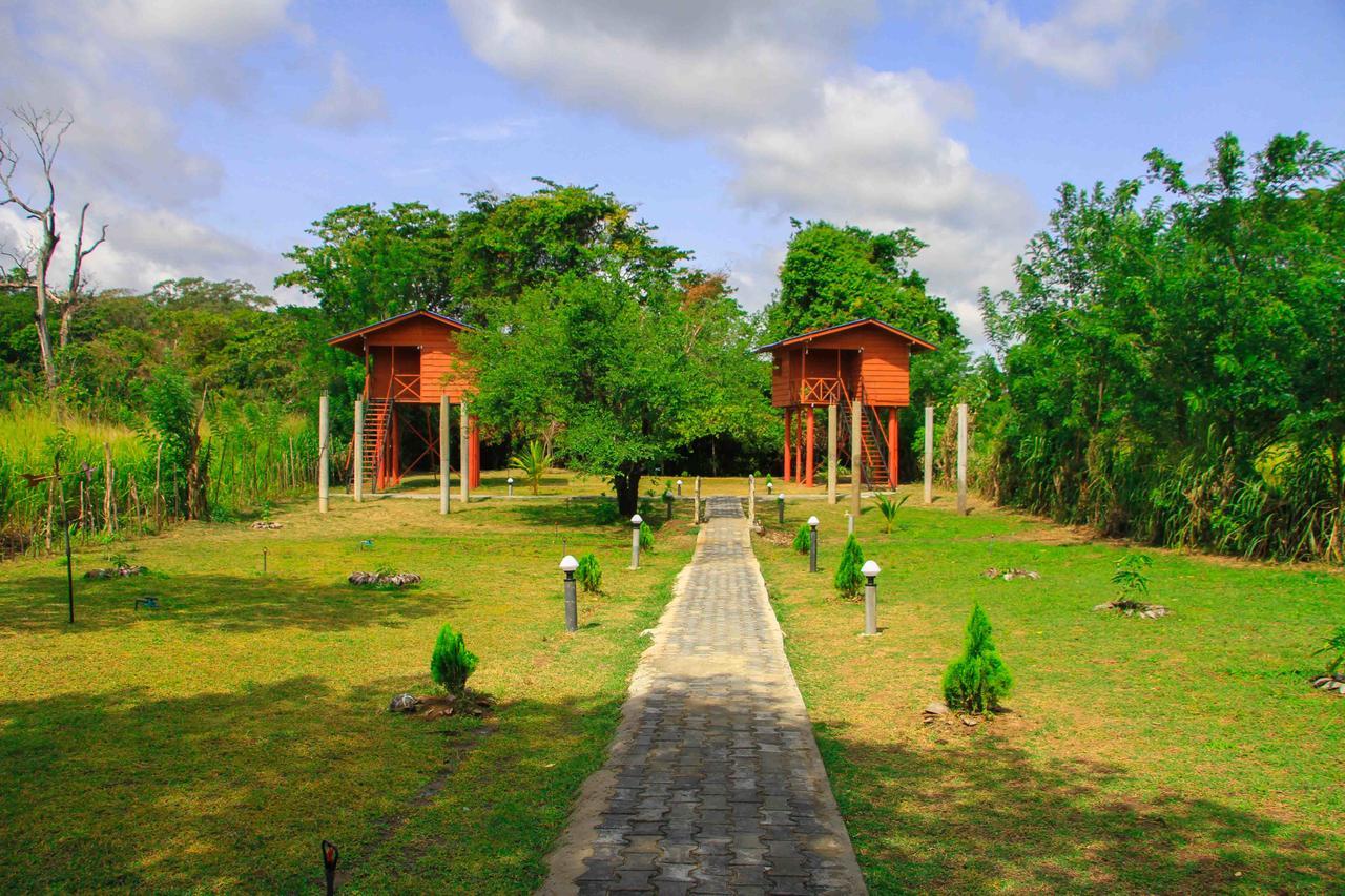 Sigiri Royal Point Tree House Hotel Sigiriya Exterior photo