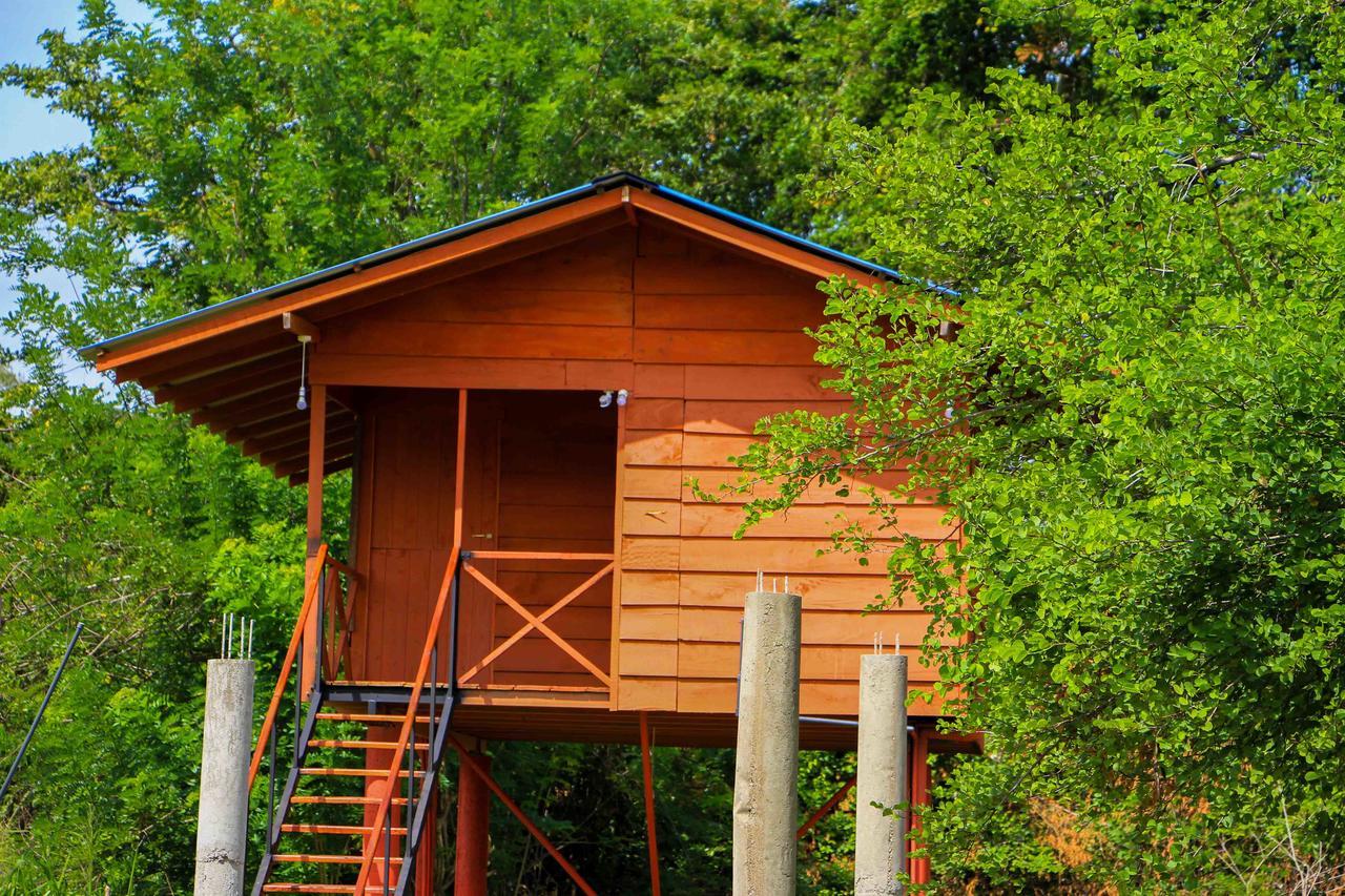 Sigiri Royal Point Tree House Hotel Sigiriya Exterior photo