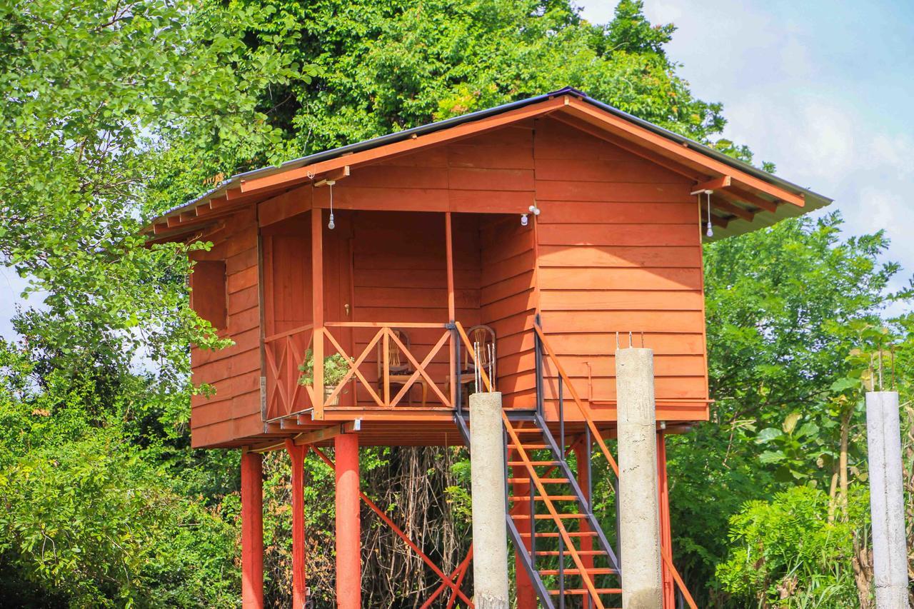 Sigiri Royal Point Tree House Hotel Sigiriya Exterior photo