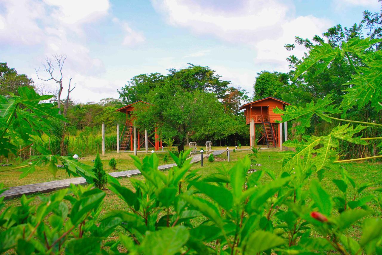 Sigiri Royal Point Tree House Hotel Sigiriya Exterior photo