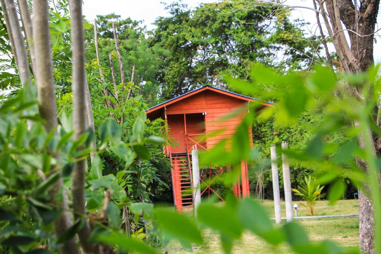 Sigiri Royal Point Tree House Hotel Sigiriya Exterior photo