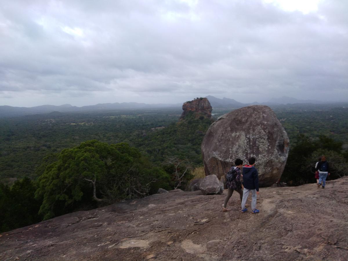 Sigiri Royal Point Tree House Hotel Sigiriya Exterior photo