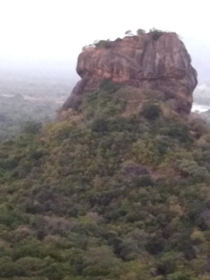 Sigiri Royal Point Tree House Hotel Sigiriya Exterior photo