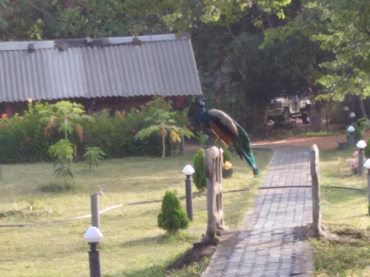 Sigiri Royal Point Tree House Hotel Sigiriya Exterior photo