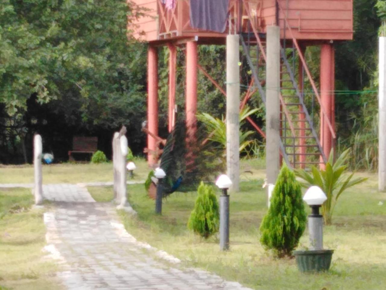 Sigiri Royal Point Tree House Hotel Sigiriya Exterior photo