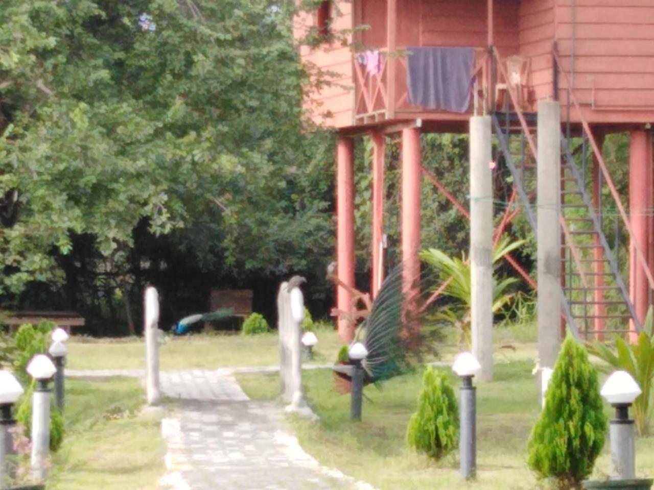 Sigiri Royal Point Tree House Hotel Sigiriya Exterior photo